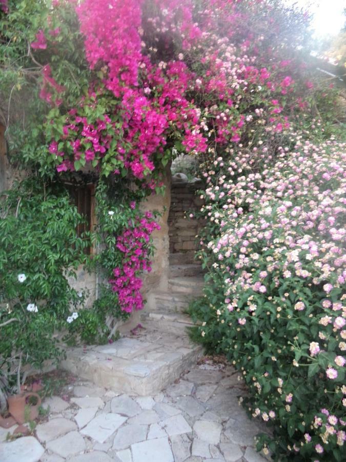 Villa Oleander Stone House Lemona Esterno foto