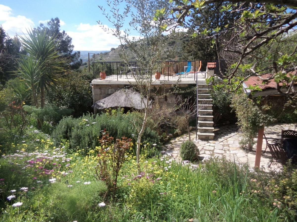 Villa Oleander Stone House Lemona Esterno foto